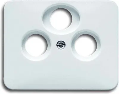 Busch-Jaeger Centralni disk sws w.3connection wheel.TV/SAT 1743-03-24G