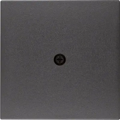 Berker Sredinska plošča anth 10191606