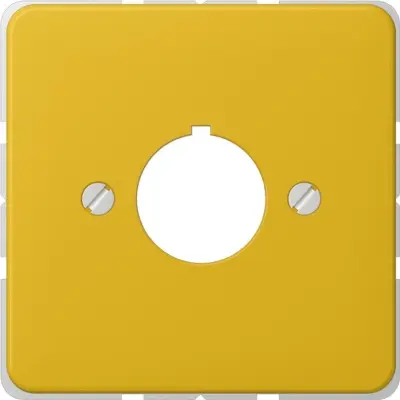 Jung pokrov ge komplet s podpornim obročem 564 GE