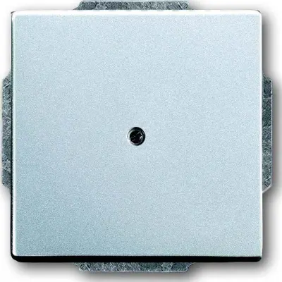 Busch-Jaeger Sredinski disk alusi s podpornim obročem za svetlobno vtičnico 1749-83