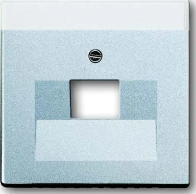 Busch-Jaeger Centralni disk alusi s priključkom UAE do.1f 1803-83