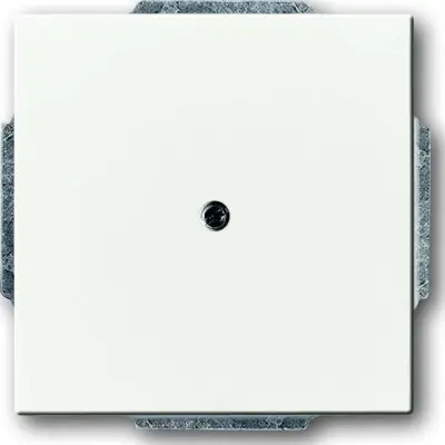 Busch-Jaeger Sredinska plošča dav/sws s podporo za kabelski izhod 1749-84