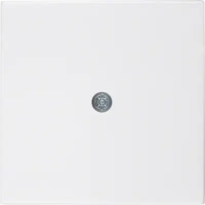 Berkerjeva središčna plošča za kabelsko vtičnico 10198989