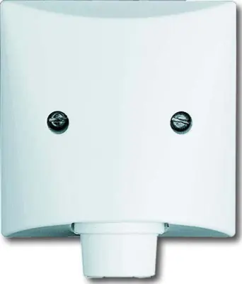 Busch-Jaeger Sredinska plošča ws za kabelsko vtičnico 2133-32