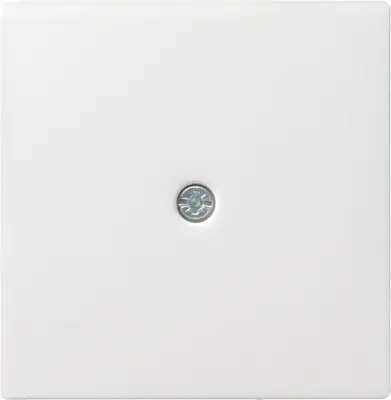 Gira sredinska plošča vtičnica za kabel rws System55 027427