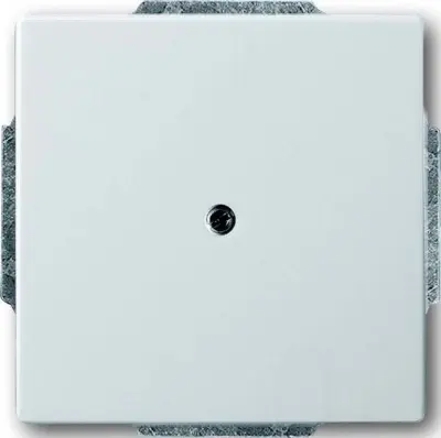 Busch-Jaeger Sredinska plošča eds slepa pokrivna plošča s podpornim obročem 1742-866