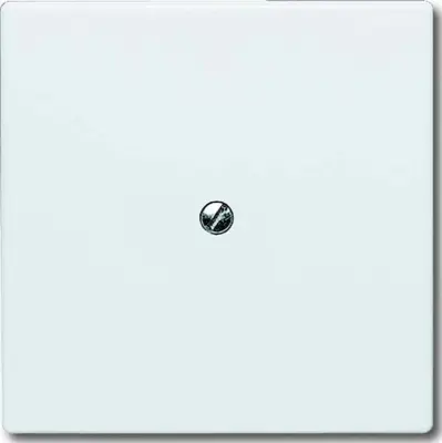 Busch-Jaeger Slepa sredinska plošča ws s podpornim obročem 2138-32