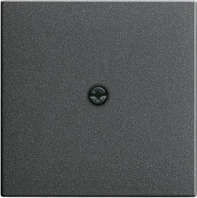 Gira Sredinska plošča, vtičnica za kabel anth System55 027428