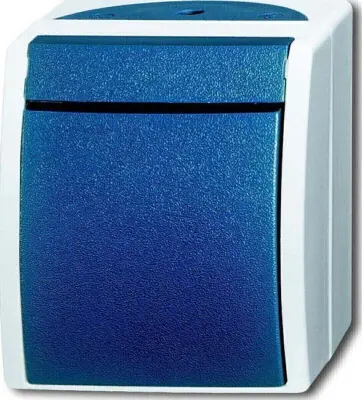 Busch-Jaeger Izklop 2p. AP 2601/2 W-53