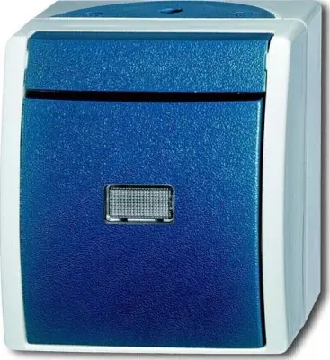 Busch-Jaeger Površinsko preklopno stikalo 2601/6 WGL-53