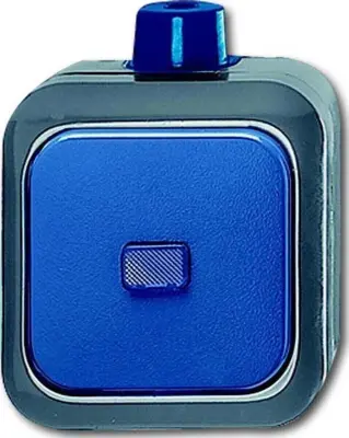 Busch-Jaegerjevo preklopno stikalo AP 2601/6 WDI