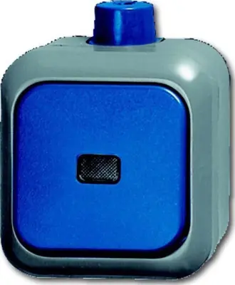 Busch-Jaeger Preklopno stikalo AP 2601/6 SKWDI