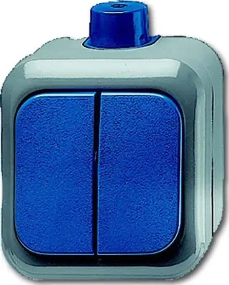 Busch-Jaeger serijsko stikalo AP 2601/5 WDI