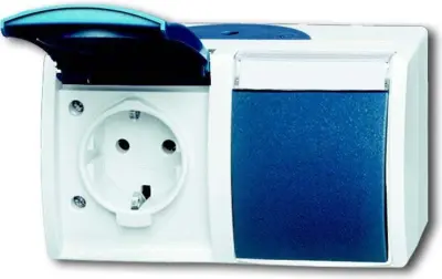 Busch-Jaeger Schuko vtičnica 2gang horizontalna 20/2 EWN-53