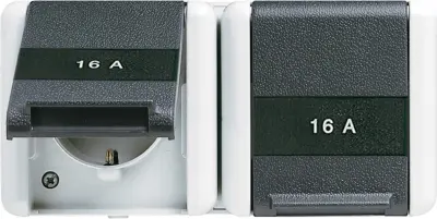 Jung SCHUKO vtičnica, 2-kanalna, 16A 250V 8220 NAW