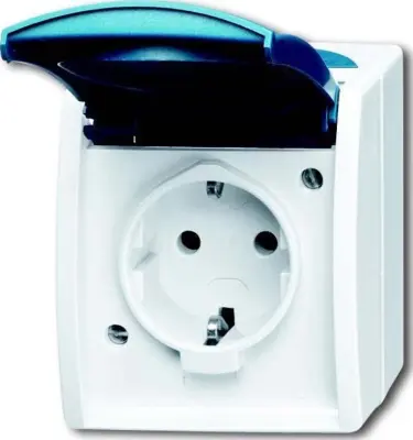Busch-Jaeger Schuko vtičnica z napisno tablico 20 EWN-53