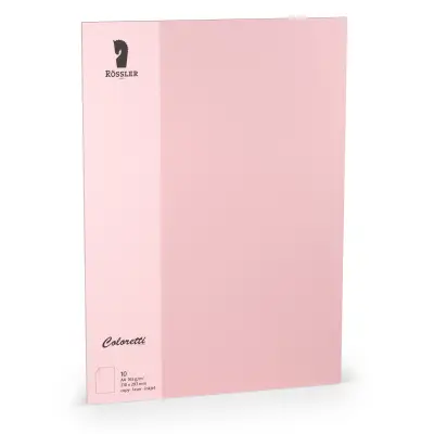 A4 BARVNI LIST 10 ENOT ROZA