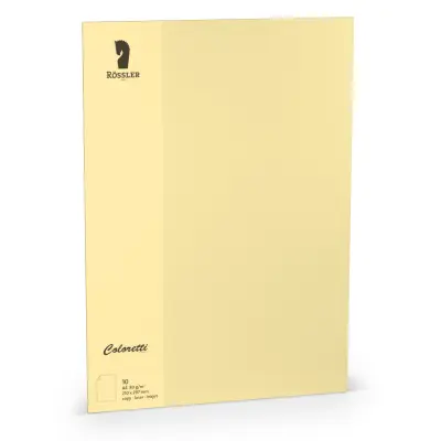 FOLIO A4 BARVE 10 ENOTE PEŠČENO RJAVE