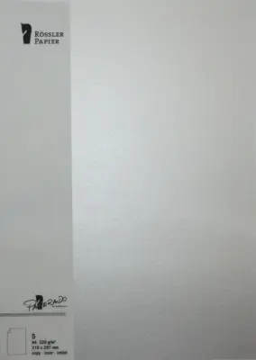 A4 PAPIRNA KARTICA 5 ENOT SREBRNA