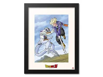 Dragon Ball Trunk VS zer - slika z okvirjem
