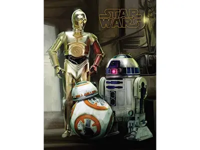 Star Wars WDC12125 30 x 40 cm Tisk na platnu, večbarvno, 30 x 40 x 3,8 cm