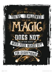 TISK 30X40 CM HARRY POTTER MAGIC