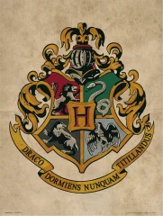 TISK 30X40 CM HARRY POTTER HOGWARTS ESCUDO