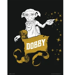 TISK 30X40 CM HARRY POTTER DOBBY