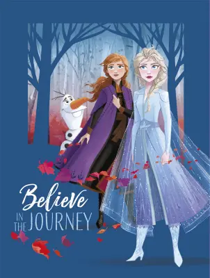 TISK 30X40 CM DISNEY FROZEN VERJEMI V POTOVANJE