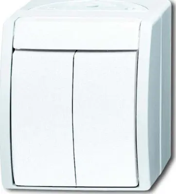 Busch-Jaegerjevo serijsko stikalo 2601/5 W-54