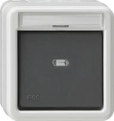 Gira preklopno stikalo gr 010631