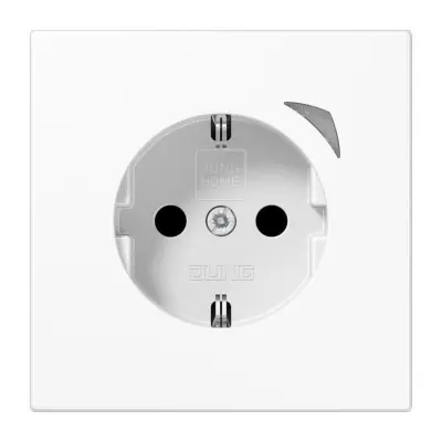 Jung SCHUKO vtičnica 16 A 250V BT LS 1521 SE WW