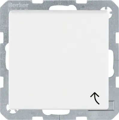 Berker Schuko vtičnica pws 47511909