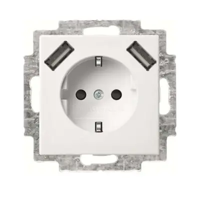 Busch-Jaeger SCHUKO-2x USB vtičnica 20 EUCB2USB-914