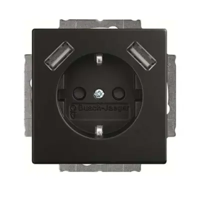 Busch-Jaeger SCHUKO-2x vtičnica USB 20 EUCB2USB-885