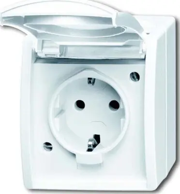 Busch-Jaeger SCHUKO vtičnica 20 EWN-54