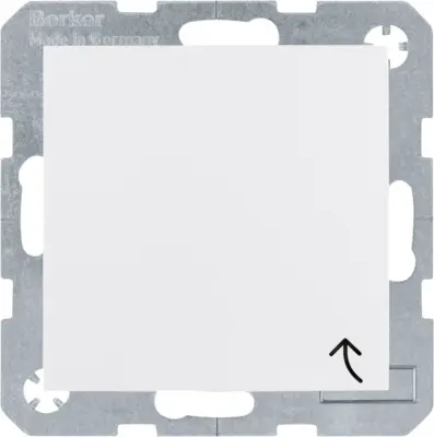 Berker SCHUKO vtičnica pws/gl 47518989