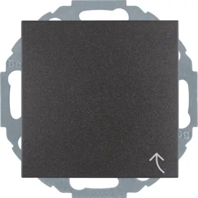 Berker Schuko vtičnica anth/mat 47441606
