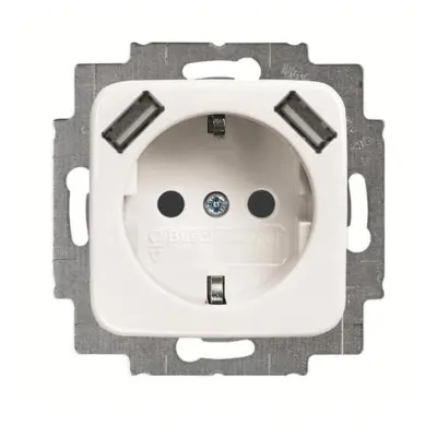 Busch-Jaeger SCHUKO-2x vtičnica USB 20 EUCB2USB-214