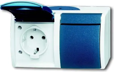 Busch-Jaeger Schuko vtičnica 2f.gr/bgn 20/2 EW-53