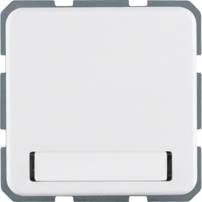 Berker Schuko vtičnica pws 471909