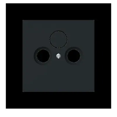 Busch-Jaeger osrednji disk 1743-45M