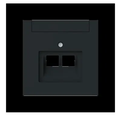 Busch-Jaeger Centralni disk 2-gang, ZAE 1803-02-45M