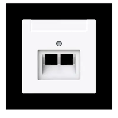 Busch-Jaeger Centralni disk 2-gang, UAE 1803-02-44G