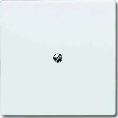 Busch-Jaeger Slepa sredinska plošča aws 2138-34