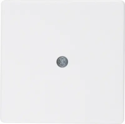 Berkerjeva središčna plošča 10196089