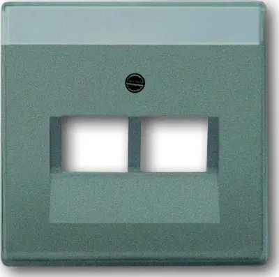 Busch-Jaeger Centralni disk meteor/gr 1803-02-803