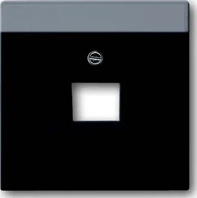 Busch-Jaeger Centralni disk sw mt 1803-885