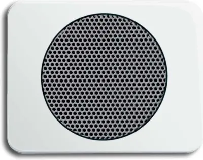 Busch-Jaeger Centralni disk stws mt 8253-24