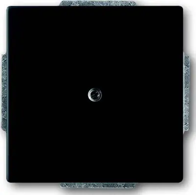 Busch-Jaeger Centralna plošča bw mt 1742-885